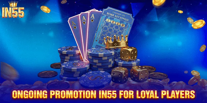 Special Loyalty Promotions You Can Enjoy at IN55
