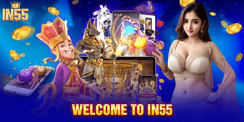 Learn about IN55 bookie